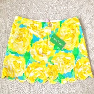NWT Lilly skirt